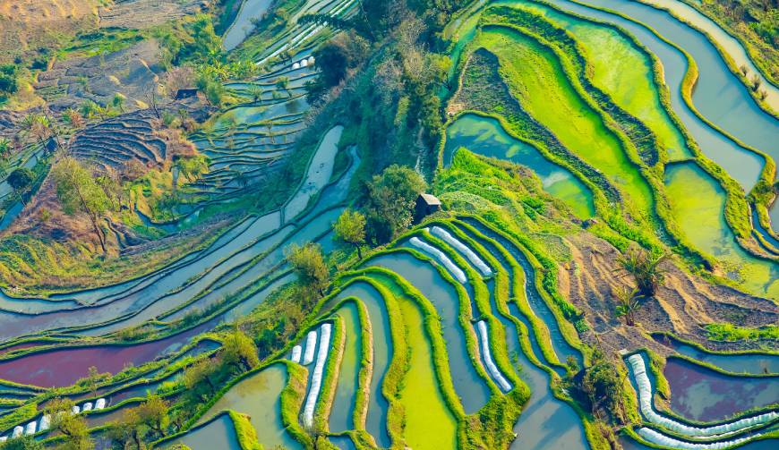 走进南沙区TVC拍摄：解锁本地化场景与创意镜头的完美融合